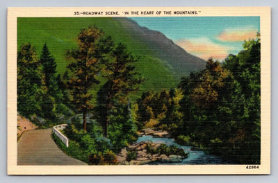 Roadway Scene, in the Heart of the Mountains - Asheville, NC Vintage Postcard