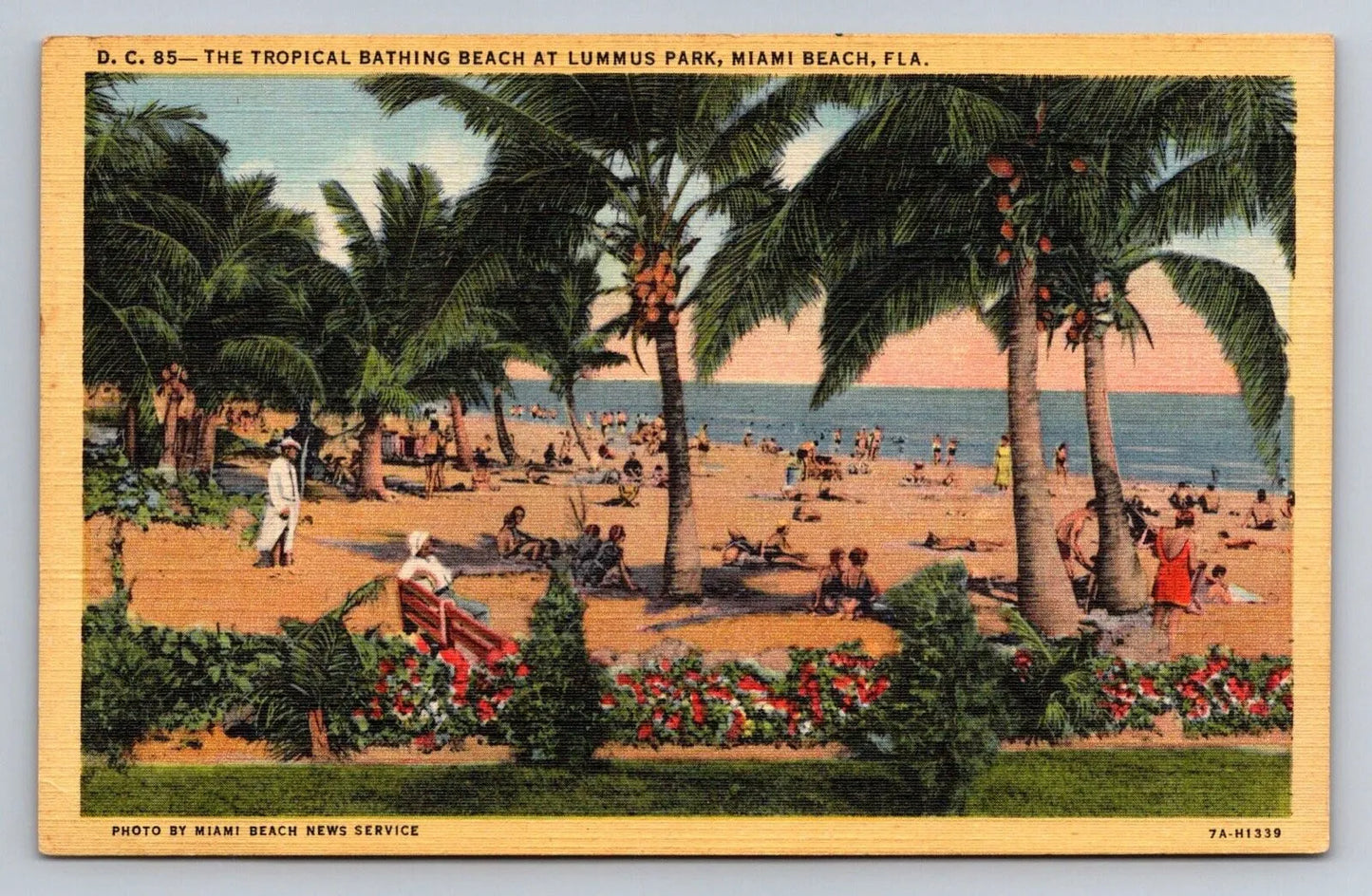 The Tropical Bathing Beach at Lummus Park, Miami Beach, Fla. Vintage Postcard