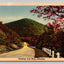 Greetings from Mena, Arkansasm Beautiful Road Vintage Curt Teich Postcard