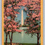 Washington Monument and Cherry Blossoms, Washington DC Vintage Postcard