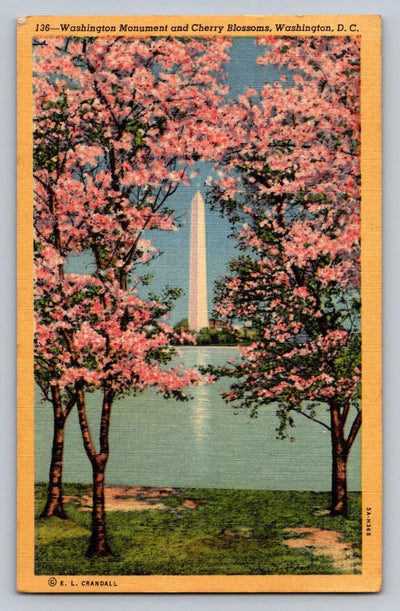 Washington Monument and Cherry Blossoms, Washington DC Vintage Postcard