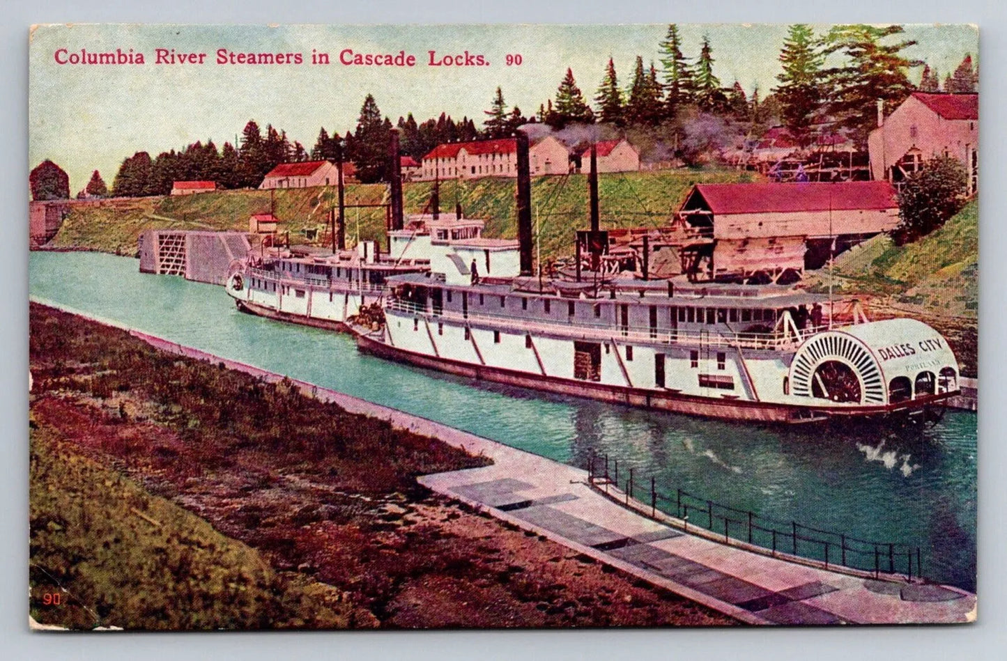 Columbia River Steamers in Cascade Locks - Steam Boats - Washington Postcard