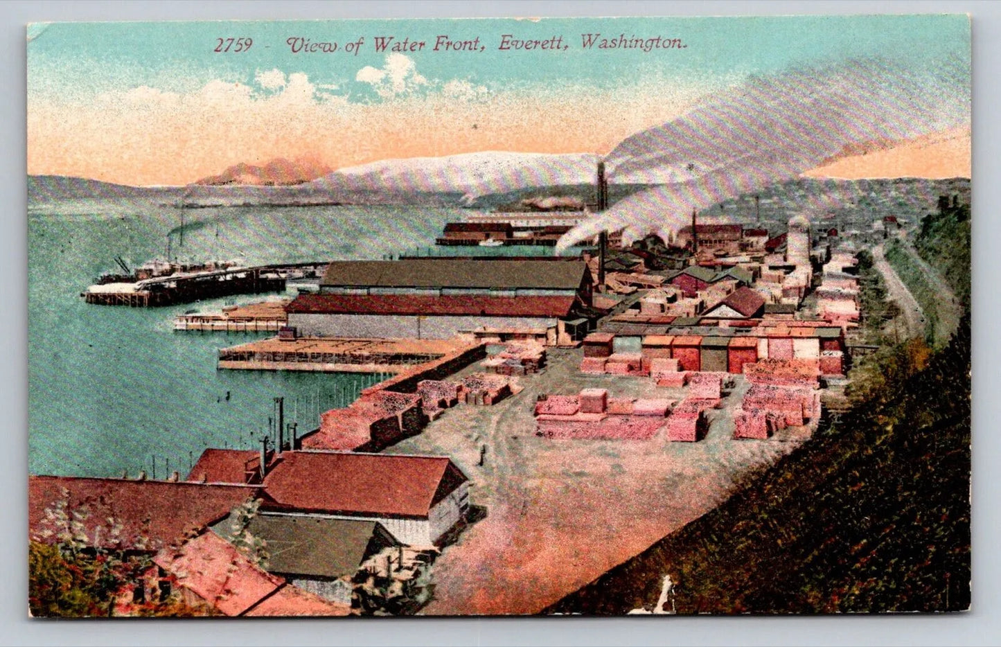 View of Water Front, Everett, Washington Vintage Postcard