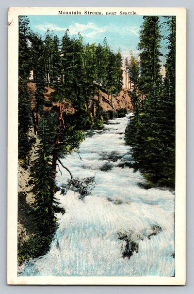 Mountain Stream, Near Seattle, Washington Vintage Postcard