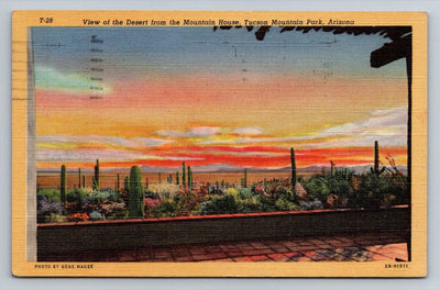 View of the Desert from Mountain House, Tucson Mountain Park, Arizona Postcard