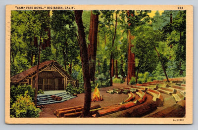 Camp Fire Bowl, Big Basin, California - Redwood Trees Vintage Postcard AWESOME