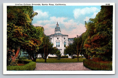 Ursline College Grounds, Santa Rosa, California Vintage Postcard - Wow!