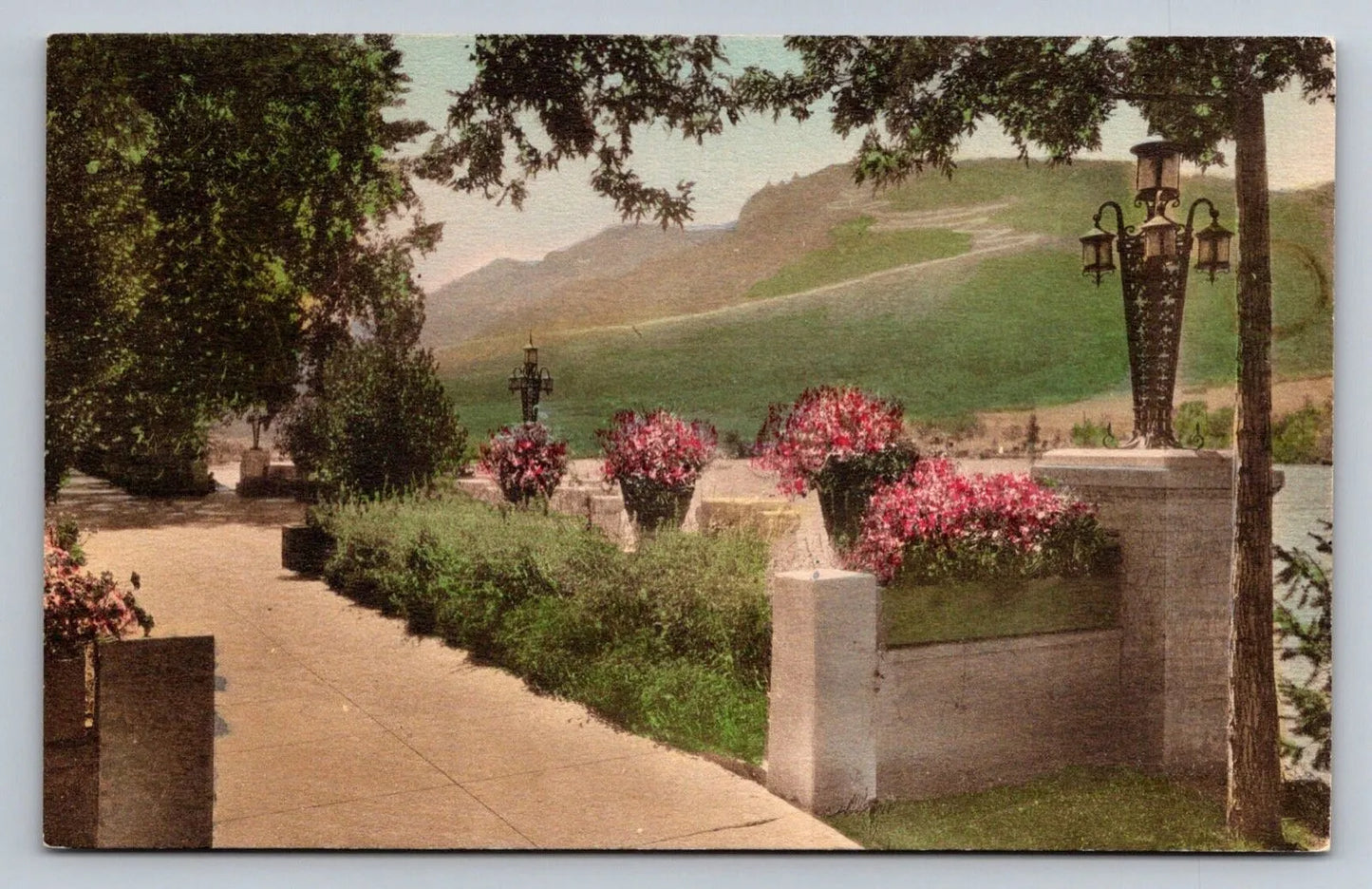 The Broadmoor Hotel, Colorado Springs, Colorado - Hand Colored Vintage Postcard