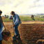 Peasants in the Field, Eragny Art Print 1890 by Camille Pissarro (6 Sizes)