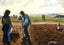 Peasants in the Field, Eragny Art Print 1890 by Camille Pissarro (6 Sizes)
