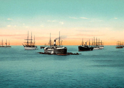Pensacola Bay FL in 1904 Vintage Print (7 Sizes) - Premium Quality