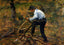 Pere Melon Sawing Wood, Pontoise 1879 by Camille Pissarro Art Print (6 Sizes)