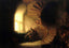 Philosopher in Meditation 1632 Painting by Rembrandt Fine Art Print (6 Sizes)