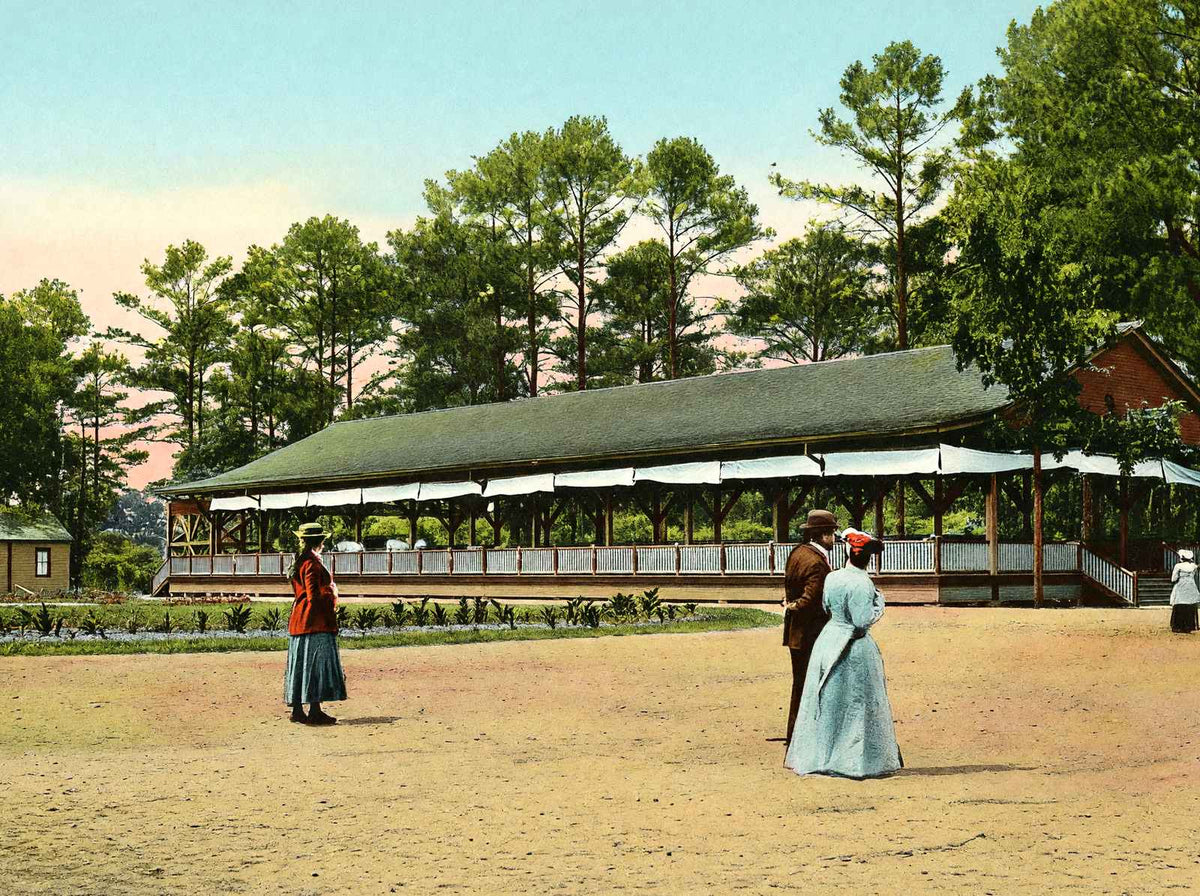 Pickett Springs Montgomery Alabama in 1906 Vintage Print (7 Sizes)
