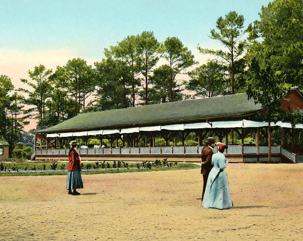 Pickett Springs