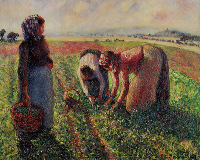 Picking Peas () Painting by Camille Pissarro 8x10" Art Print - Premium Quality