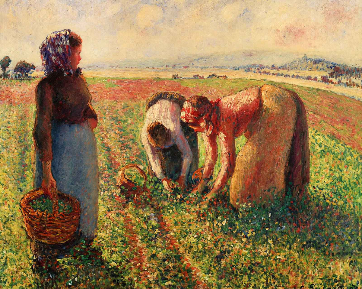 Picking Peas (1893) art print by Camille Pissarro (1893)