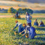 Picking Peas 1887 Painting by Camille Pissarro Art Print (6 Sizes) - Acid Free