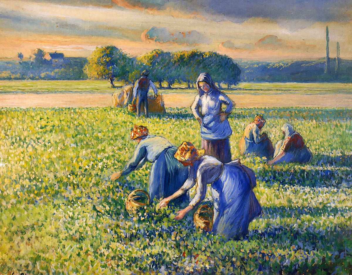Picking Peas 1887 Painting by Camille Pissarro Art Print (6 Sizes) - Acid Free