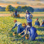 Picking Peas 1887 Painting by Camille Pissarro Art Print (6 Sizes) - Acid Free