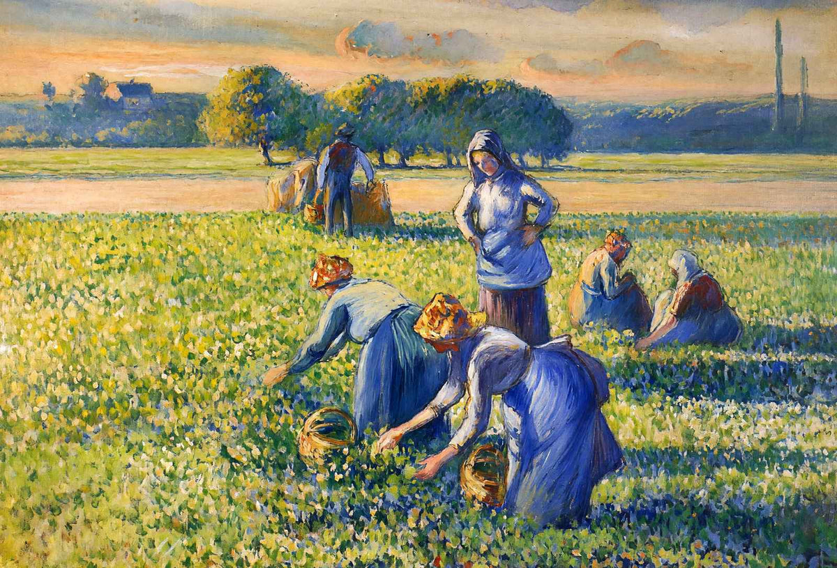 Picking Peas 1887 Painting by Camille Pissarro Art Print (6 Sizes) - Acid Free