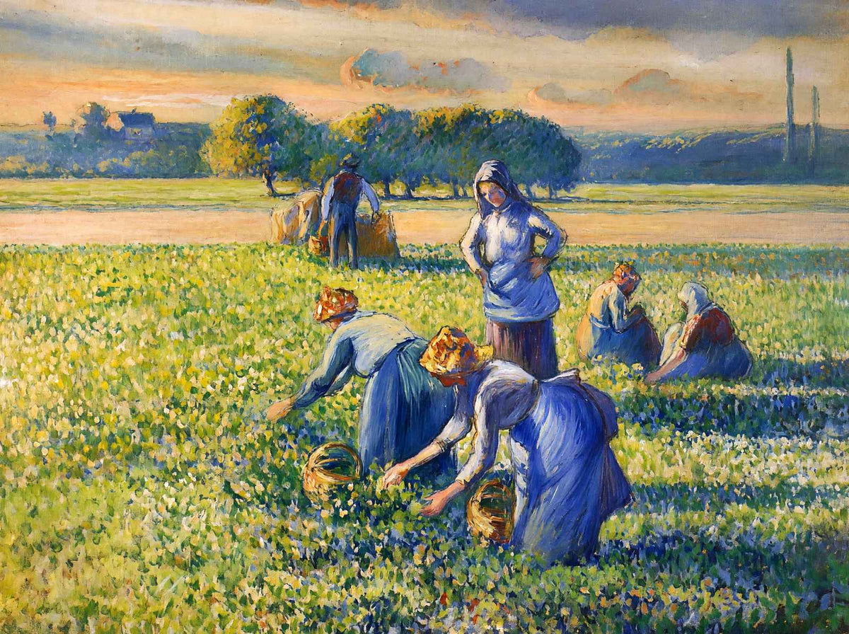 Picking Peas 1887 Painting by Camille Pissarro Art Print (6 Sizes) - Acid Free