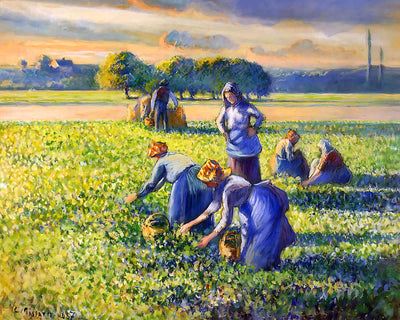Picking Peas Painting by Camille Pissarro 8x10" Art Print - Acid Free