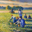 Picking Peas painting by Camille Pissarro (1887)