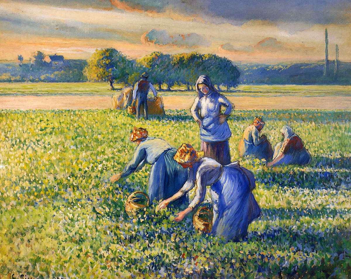 Picking Peas painting by Camille Pissarro (1887)