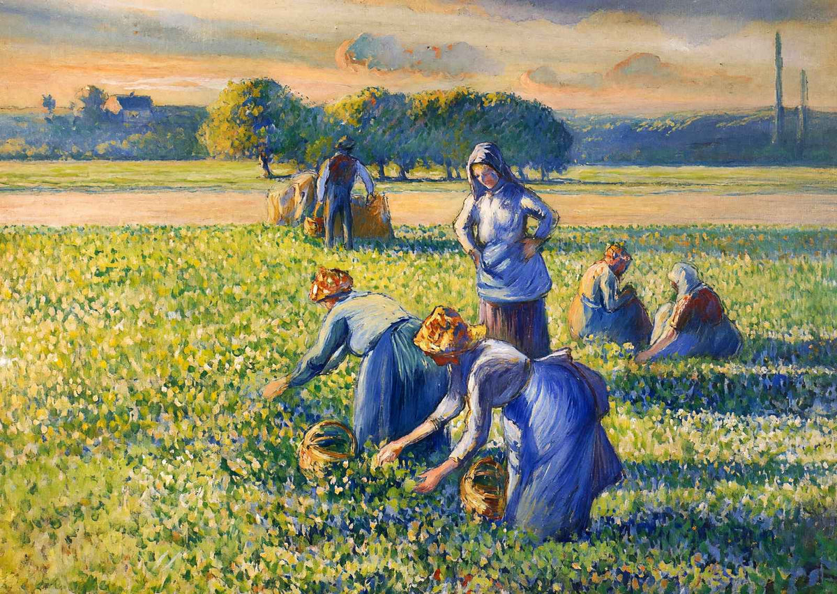 Picking Peas 1887 Painting by Camille Pissarro Art Print (6 Sizes) - Acid Free