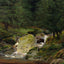 Pines at the Waterfall Art Print 1828 by Caspar David Friedrich (5 Sizes)