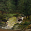 Pines at the Waterfall Art Print 1828 by Caspar David Friedrich (5 Sizes)
