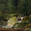 Pines at the Waterfall art print by Caspar David Friedrich (1828)
