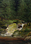 Pines at the Waterfall Art Print 1828 by Caspar David Friedrich (5 Sizes)