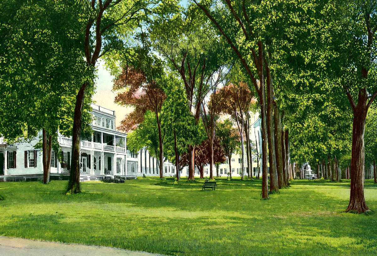 Maplewood Hotel, Pittsfield, Massachusetts in 1906 Vintage Print (7 Sizes)