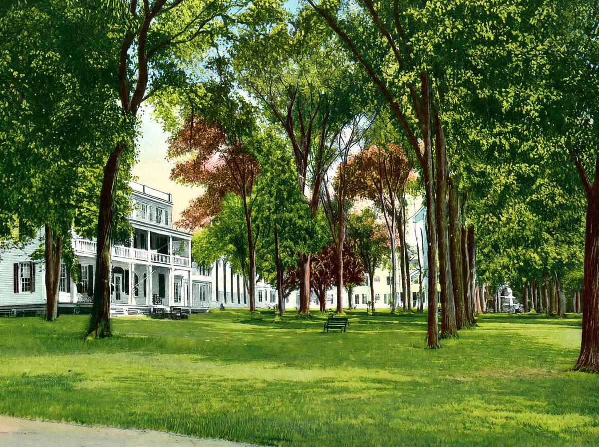 Maplewood Hotel, Pittsfield, Massachusetts in 1906 Vintage Print (7 Sizes)