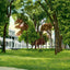 Maplewood Hotel