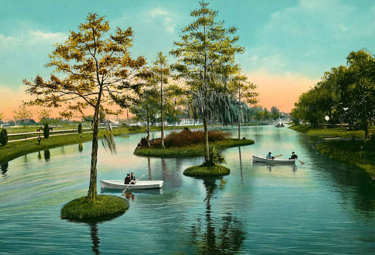 Pond in City Park New Orleans in 1908 Vintage Print (7 Sizes) - High Quality