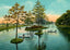 Pond in City Park New Orleans in 1908 Vintage Print (7 Sizes) - High Quality