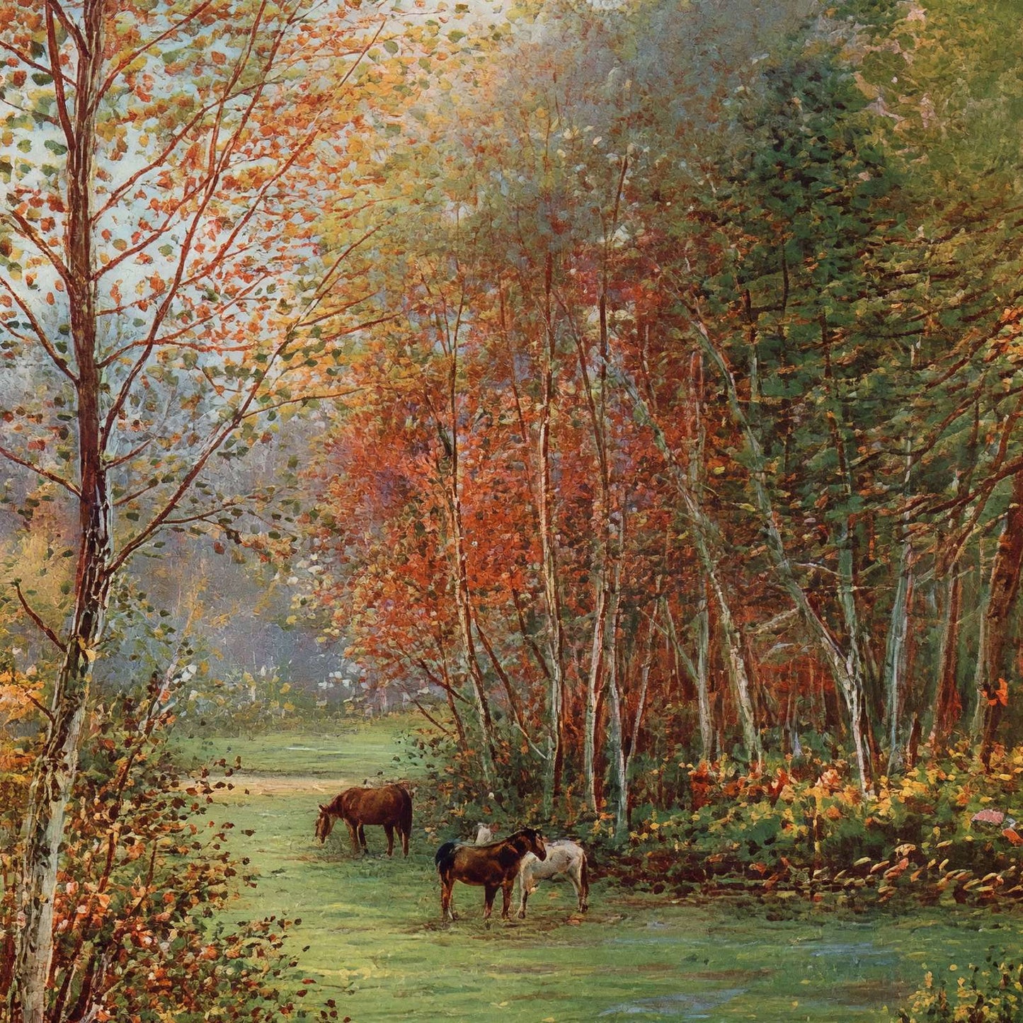 Ponies in the New Forest in 1929 Vintage Print (7 Sizes) - Premium Print