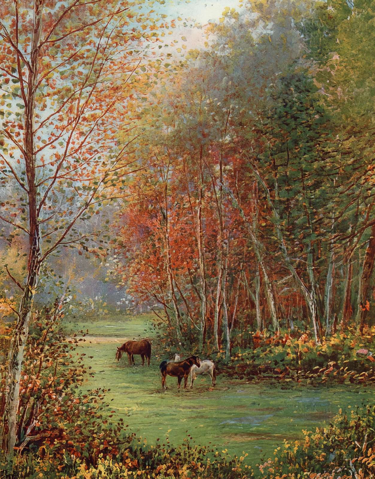 Ponies in the New Forest in 1929 Vintage Print (7 Sizes) - Premium Print