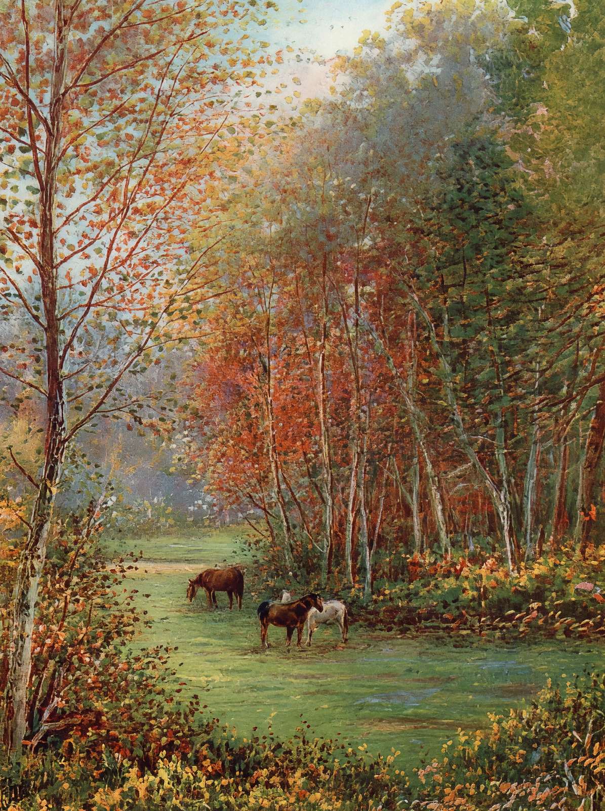 Ponies in the New Forest in 1929 Vintage Print (7 Sizes) - Premium Print