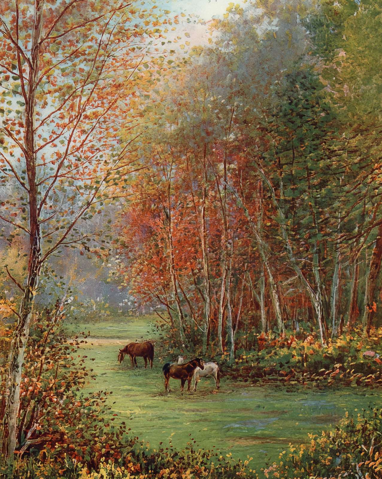 Ponies in the New Forest in 1929 vintage print