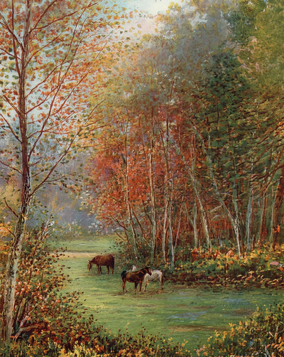 Ponies in the New Forest in 1929 vintage print