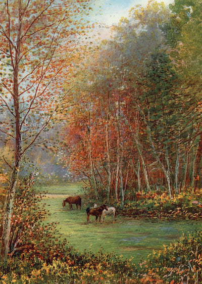 Ponies in the New Forest in 1929 Vintage Print (7 Sizes) - Premium Print