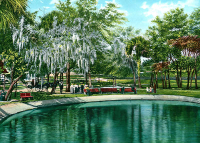 Sulphur Springs Tampa FL in 1905 Vintage Print (7 Sizes) - Premium Print