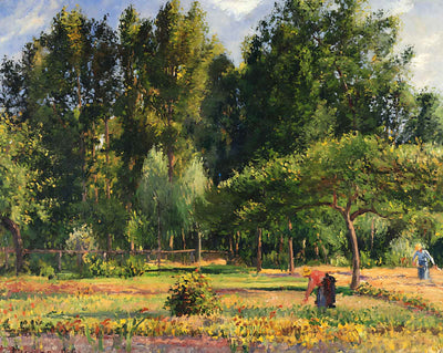 Poplars