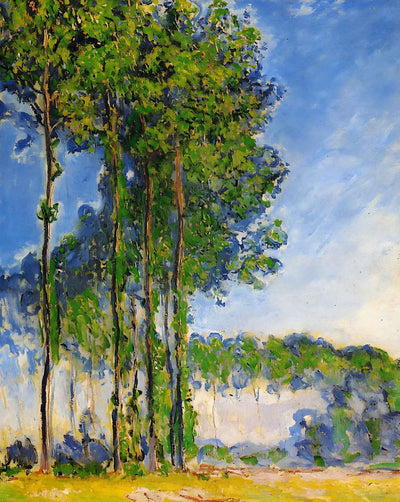 Poplars