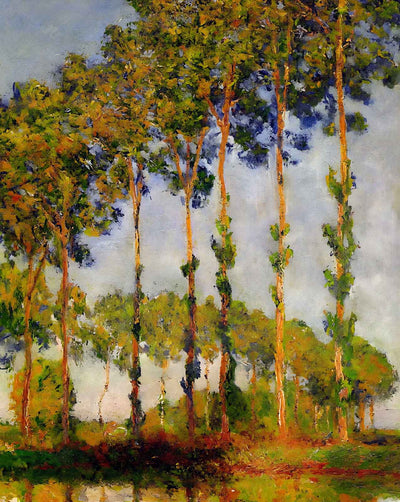 Poplars