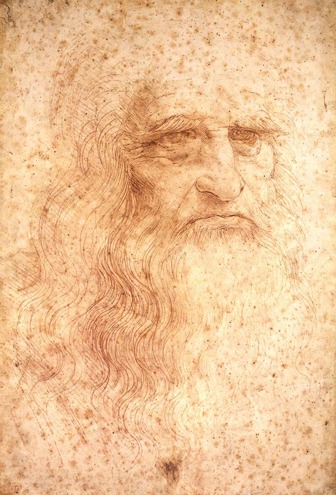 Portrait of a Bearded Man, Possibly a Self Portrait 1513 Art Print (6 Sizes)